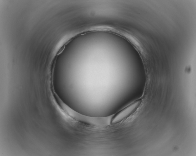 X0000090711430200708171857