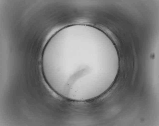 X0000090711432200708171857