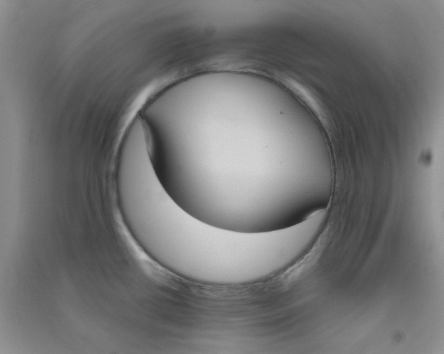 X0000090711434200708171857