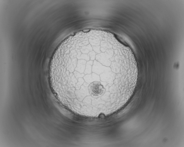 X0000090711435200708171857