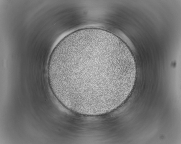 X0000090711436200708171857