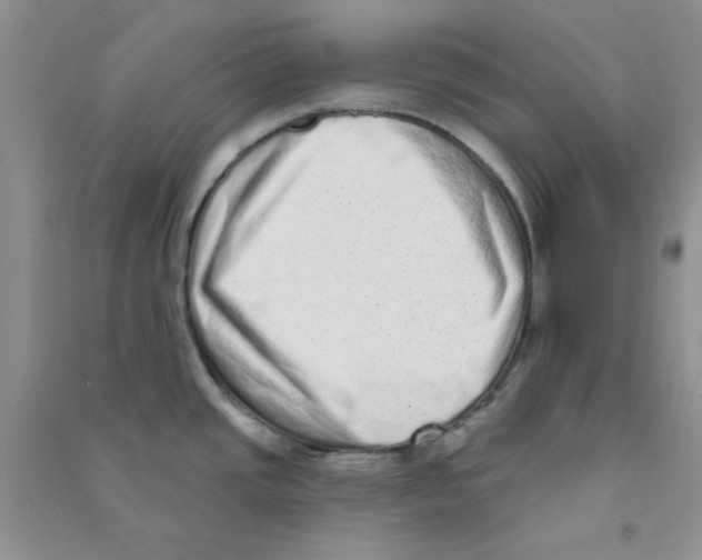 X0000090711437200708171857