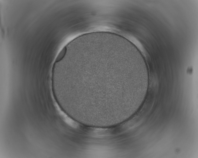 X0000090711439200708171857