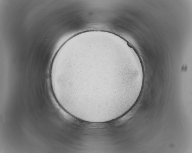 X0000090711440200708171857