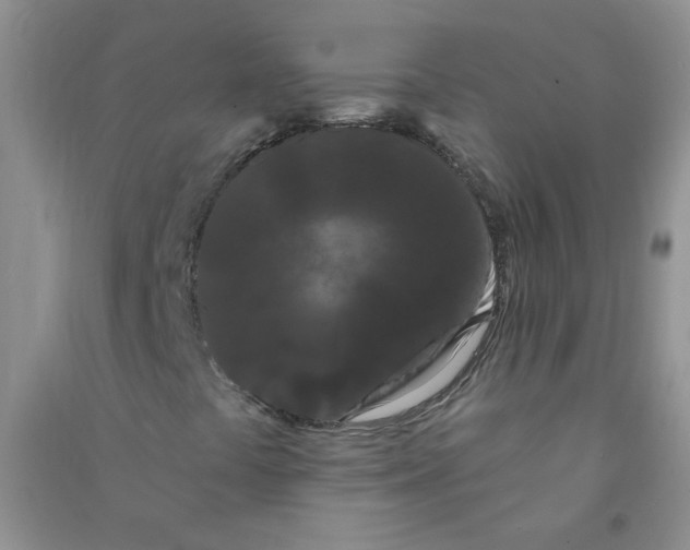 X0000090711441200708171857