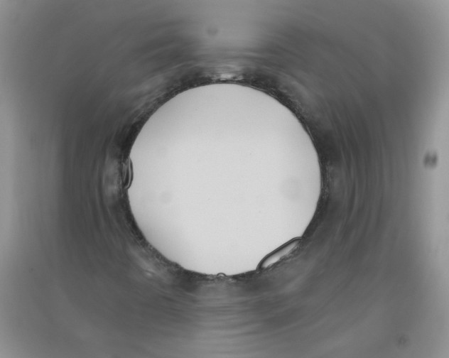 X0000090711442200708171857