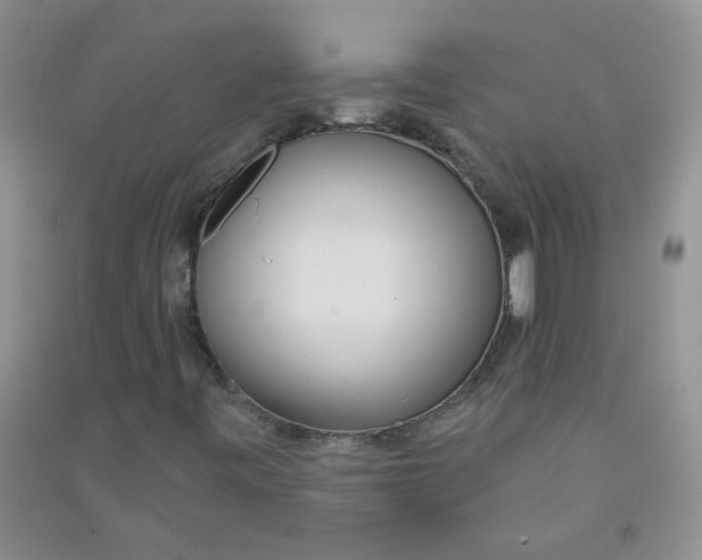 X0000090711443200708171857