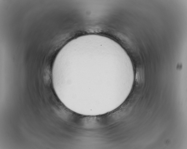 X0000090711444200708171857