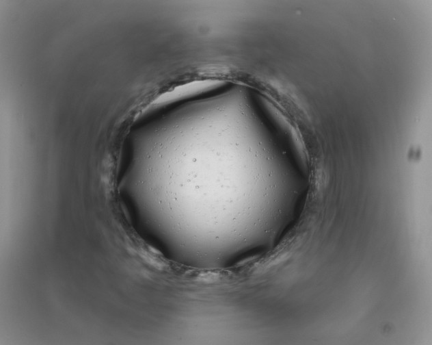 X0000090711445200708171857