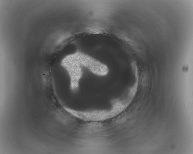 X0000090711446200708171857