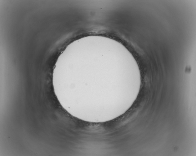 X0000090711447200708171857