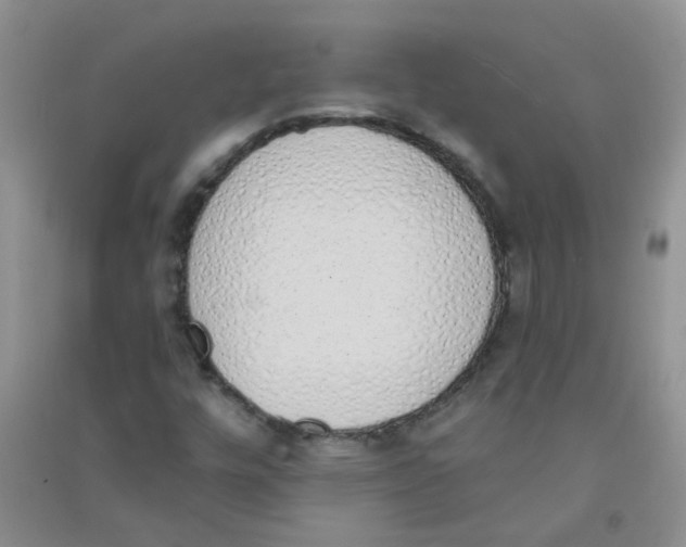 X0000090711448200708171857