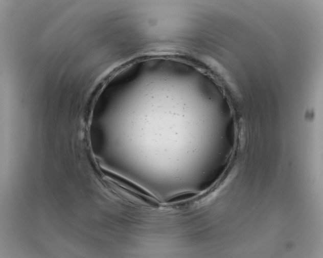 X0000090711449200708171857