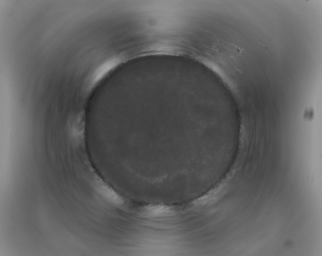 X0000090711450200708171857