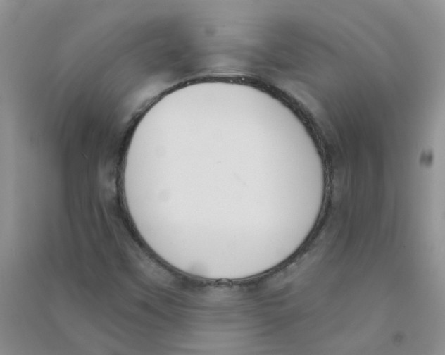 X0000090711451200708171857