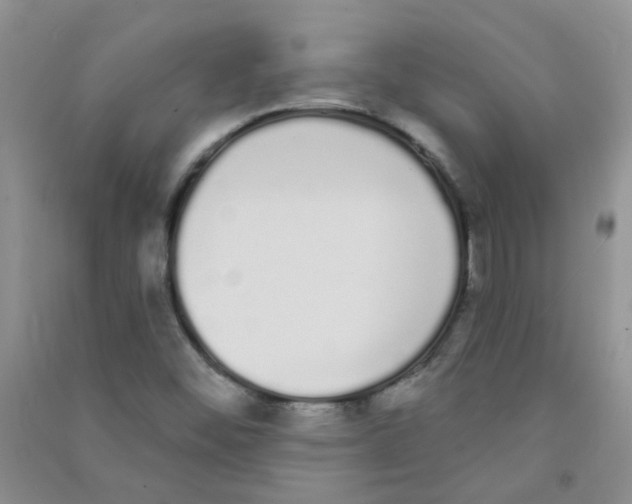 X0000090711452200708171857