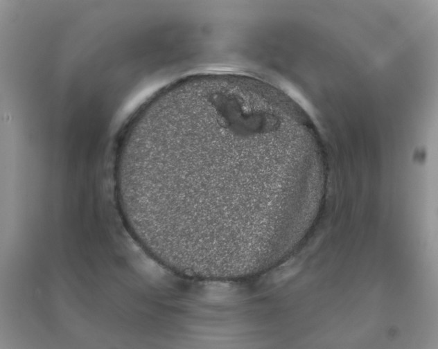 X0000090711456200708171857