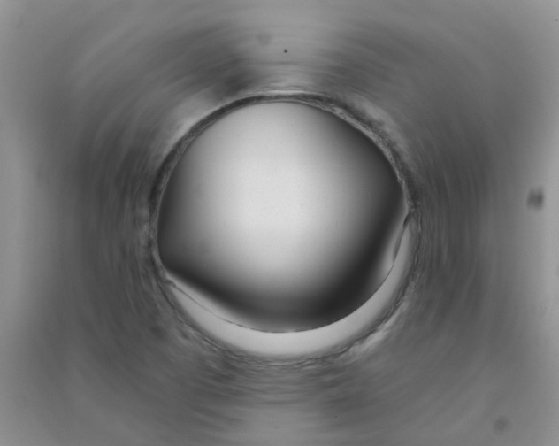 X0000090711457200708171857