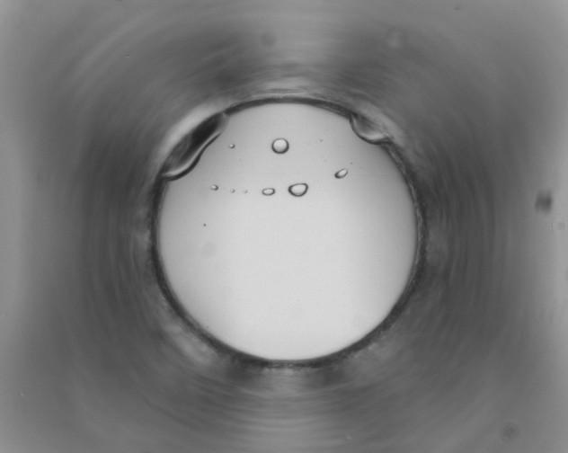 X0000090711458200708171857