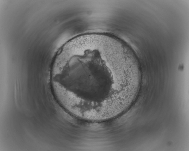 X0000090711459200708171856