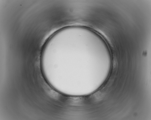 X0000090711460200708171856