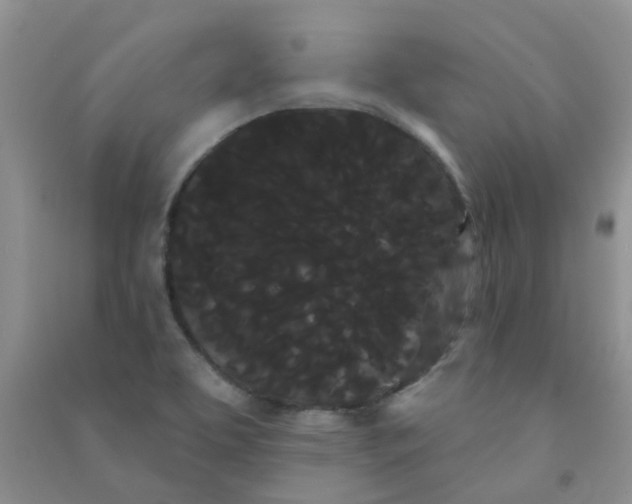 X0000090711463200708171856