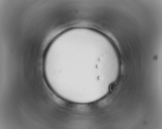 X0000090711464200708171856