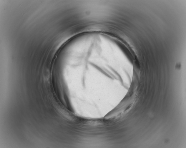 X0000090711465200708171856