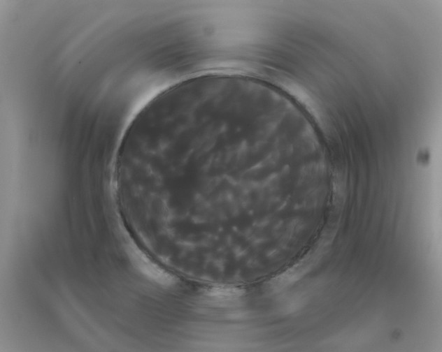 X0000090711466200708171856