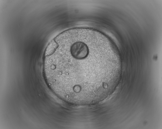 X0000090711467200708171856