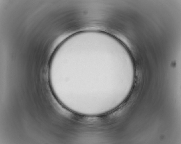 X0000090711468200708171856