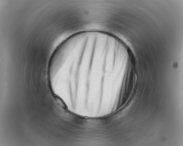 X0000090711469200708171856