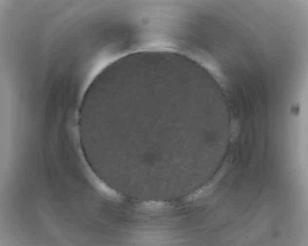 X0000090711470200708171856