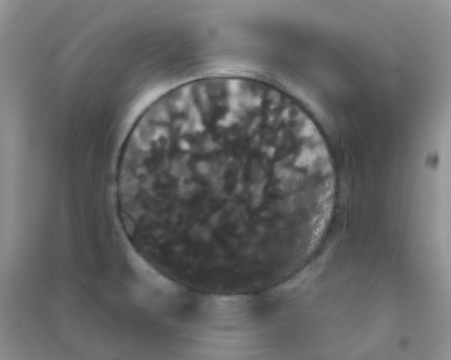 X0000090711471200708171856