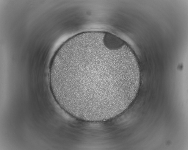 X0000090711472200708171856