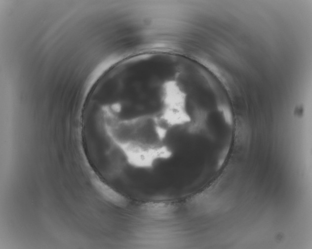 X0000090711474200708171856