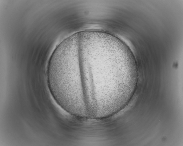 X0000090711475200708171856