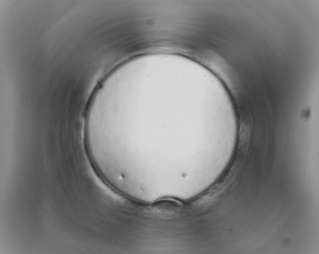 X0000090711476200708171856