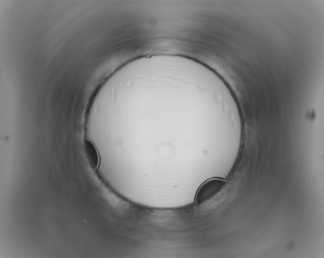 X0000090711477200708171856