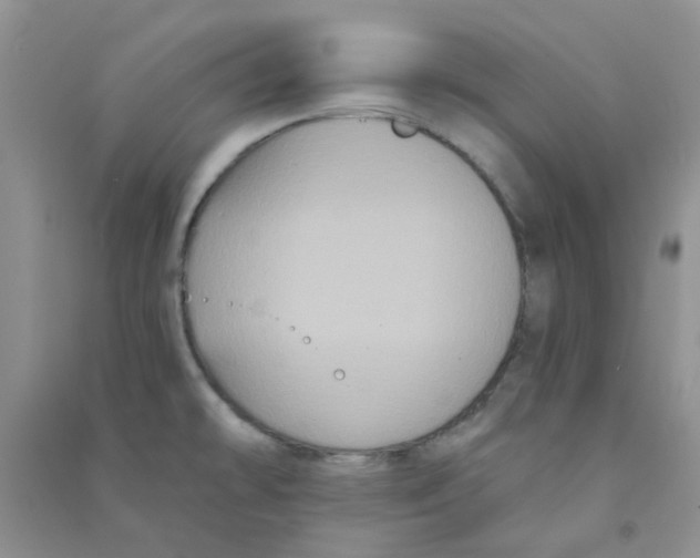 X0000090711478200708171856