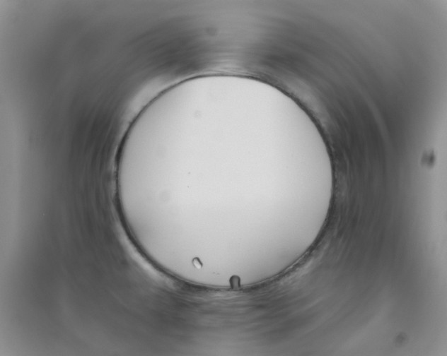 X0000090711479200708171856