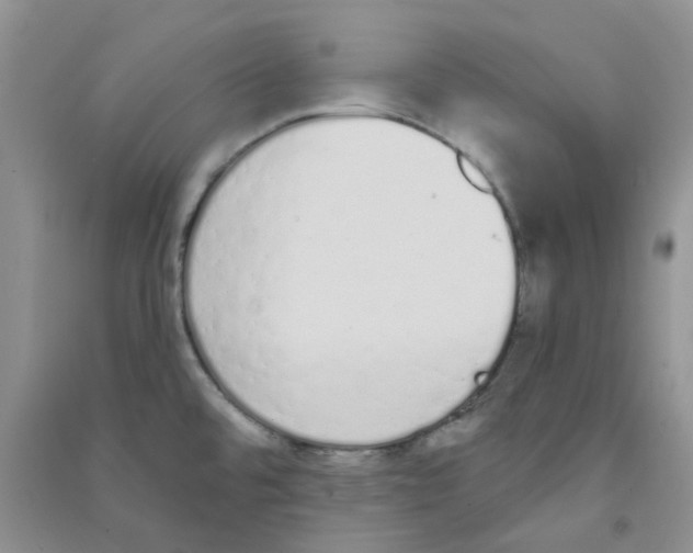 X0000090711480200708171856