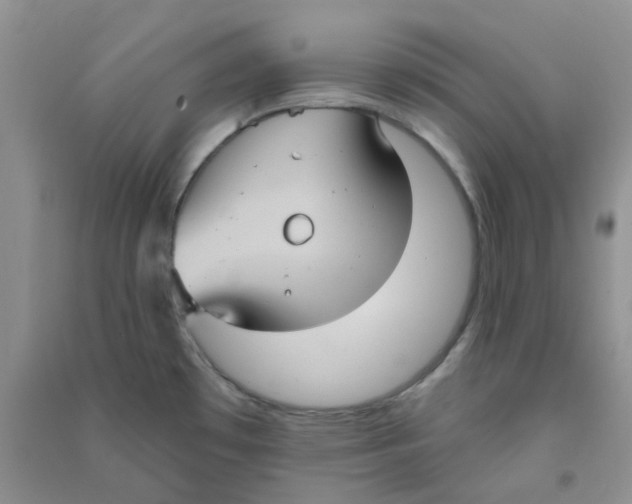 X0000090711481200708171856