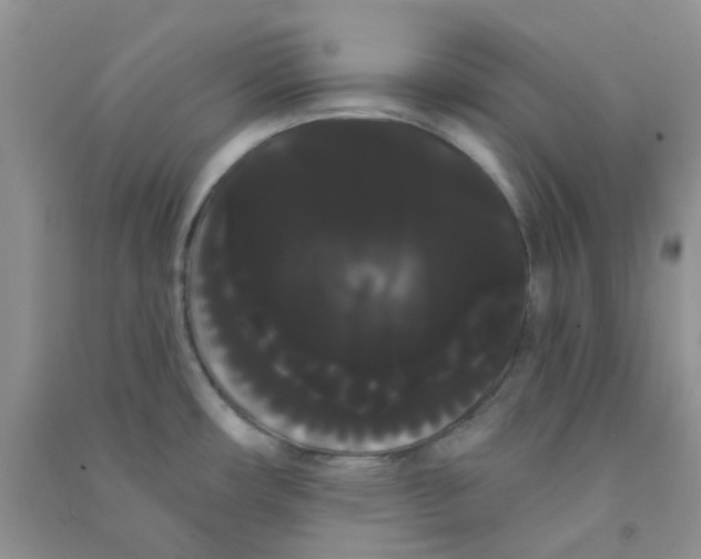 X0000090711482200708171856