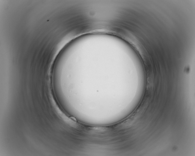 X0000090711483200708171856