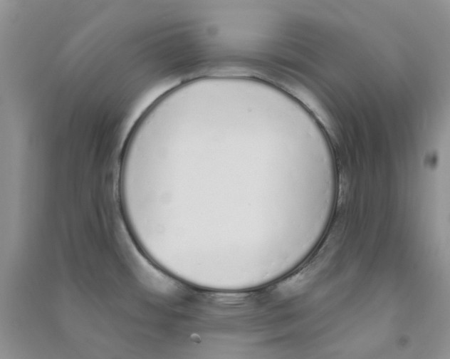 X0000090711484200708171856