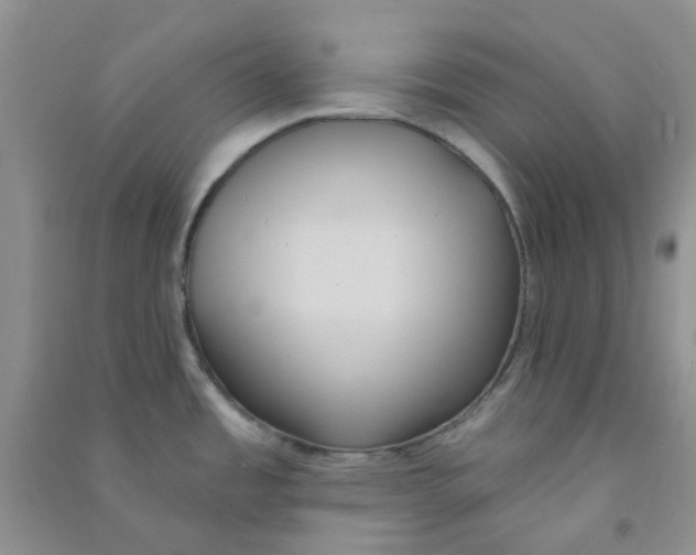 X0000090711485200708171856