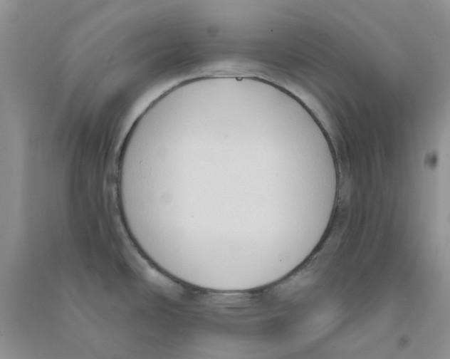 X0000090711486200708171856