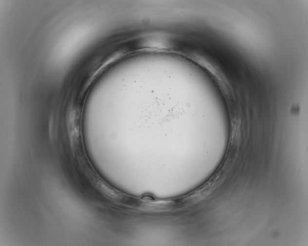 X0000090711487200708171856