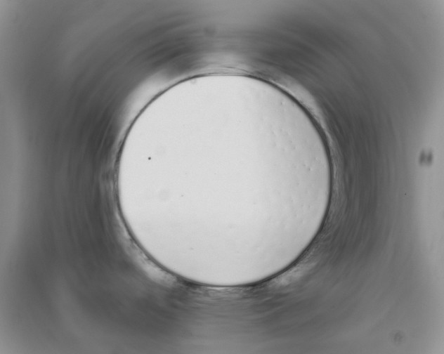 X0000090711488200708171856